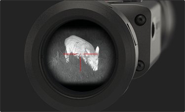 Budget Thermal Clip On Hog Hunting: The ATN TICO 6 640x512 (2026)