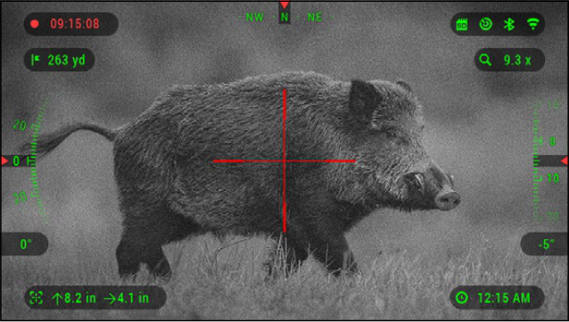 Digital night-vision view of game after dark through an ATN X-Sight optic