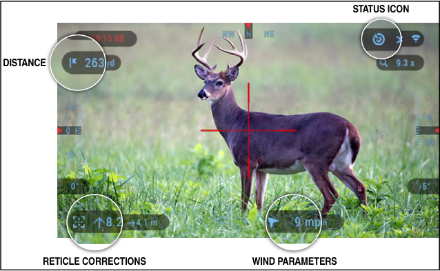 Can You Sight In A Thermal Scope During The Day: A Plain Guide with the ATN ThOR 6 384x288 (2026)