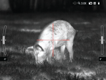 White hot thermal view of a wild hog in an open field through an ATN thermal optic