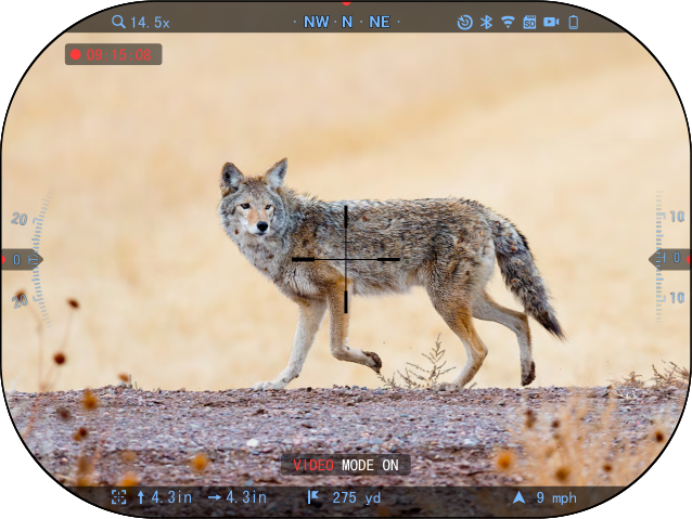 Iron hot thermal view of a coyote in the field through an ATN thermal optic