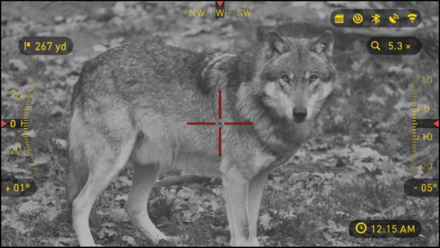 Cheapest Night Vision Rifle Scope by Season: ATN X-Sight 5 Value Picks (2026)