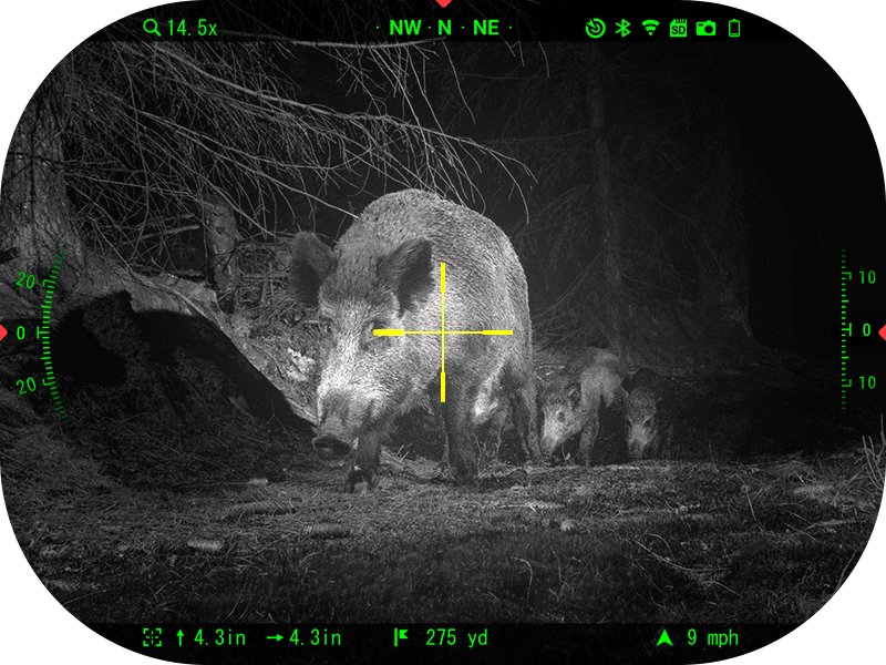 The best night vision scope: ATN X-Sight 5 smart day/night picks