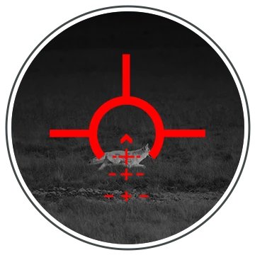 Thermal thermal view of a coyote in an open field through an ATN thermal scope