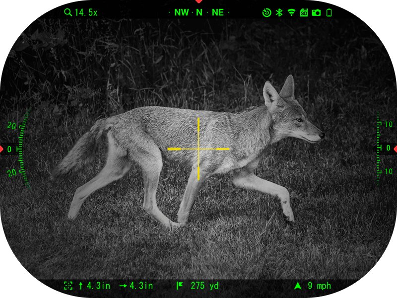 Thermal Night Vision Rifle Scope: The ATN X-Sight 5  (2026)