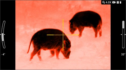 Thermal Scope Near Me: A Plain Guide with the ATN ThOR 6 Mini 384x288 (2026)