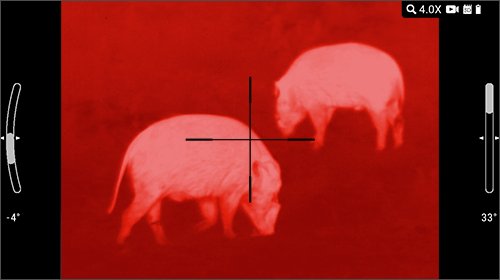 White hot thermal view of a wild hog in the field through an ATN thermal optic