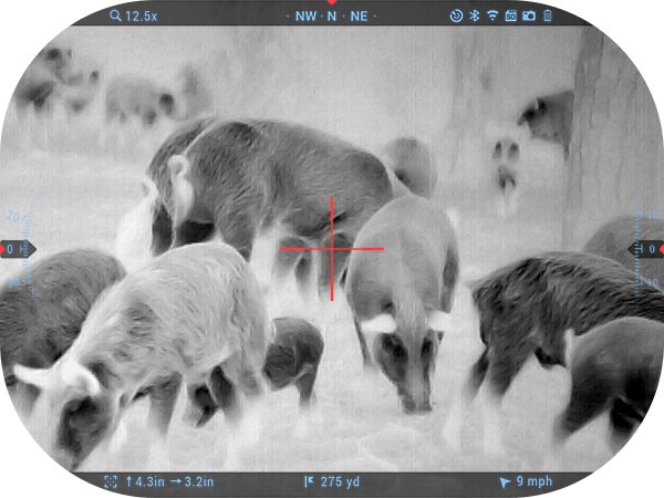 Budget Thermal Binoculars Hog Hunting: ATN Binox-6 by Experience Level (2026)
