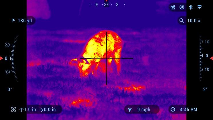 Thermal Scope Pictures: ATN ThOR 6 Optics That Capture Clear Images All Season