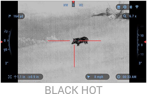 Black hot thermal view of a wild hog in the field through an ATN thermal optic