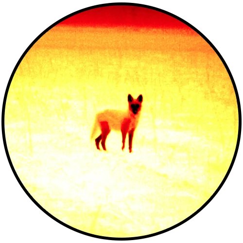 Thermal Spotter Scope: The ATN BlazeTrek 6 640x512 (2026)