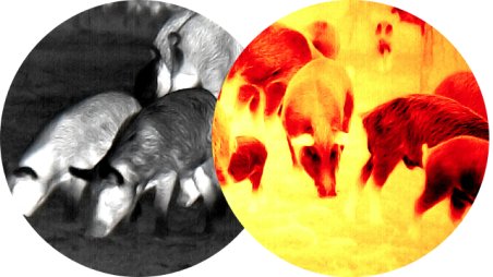 Thermal Clip On AR-15 Hog Hunting: Best ATN TICO 6 by Key Feature