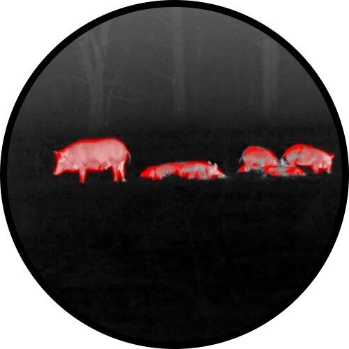 How Much Does A Thermal Scope Cost: A Plain Guide with the ATN ThOR 6 LRF 640x512 (2026)