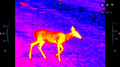 300 Blackout With Thermal Scope: The ATN ThOR 6 640x512 (2026)