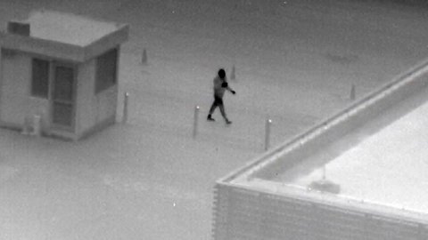 White-hot thermal view of game in the field through an ATN thermal scope