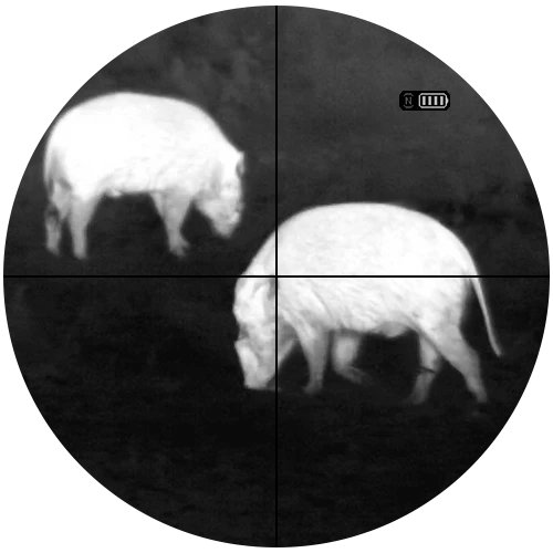 White-hot thermal view of a wild hog in the field through an ATN thermal thermal clip-on
