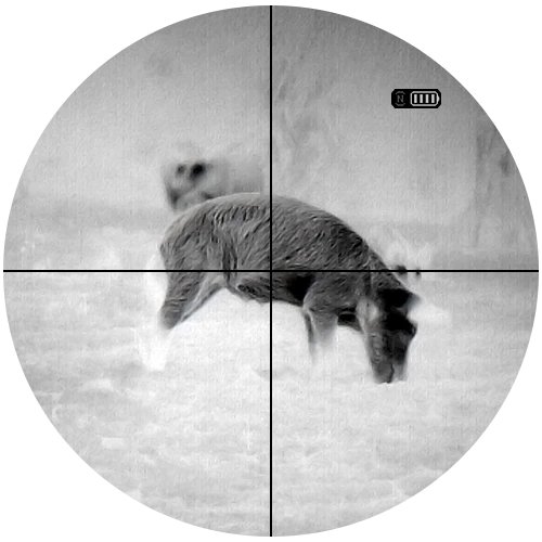 Clip-On Thermal Scope: The ATN TICO 6 640x512 (2026)