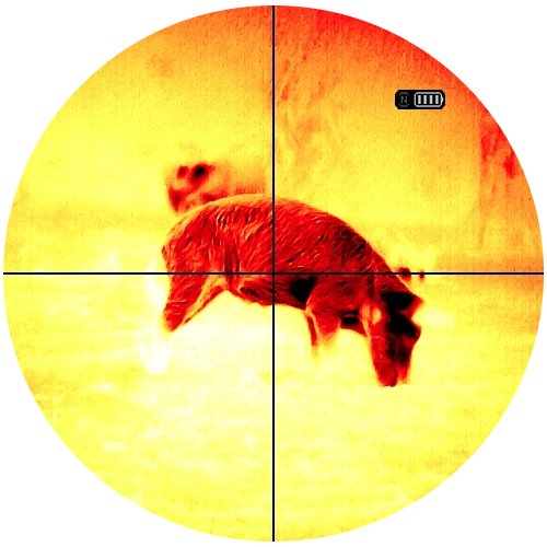 Black hot thermal view of a wild hog in the field through an ATN thermal optic
