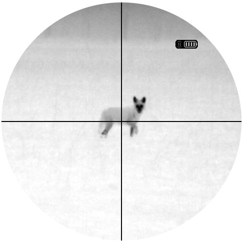 Thermal Rifle Scope Attachment: The ATN TICO 6 640x512 (2026)