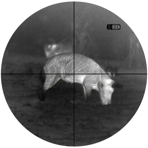 Black-hot thermal view of a wild hog in the field through an ATN thermal thermal clip-on