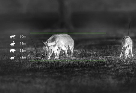 Cheapest Thermal Binoculars Worth Owning: ATN Binox-6 by Core Need