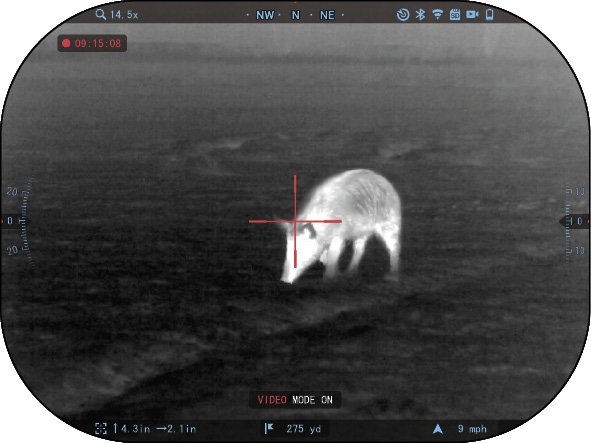 Thermal Coyote Hunting Scope: The ATN ThOR 6 Mini 384x288 (2026)