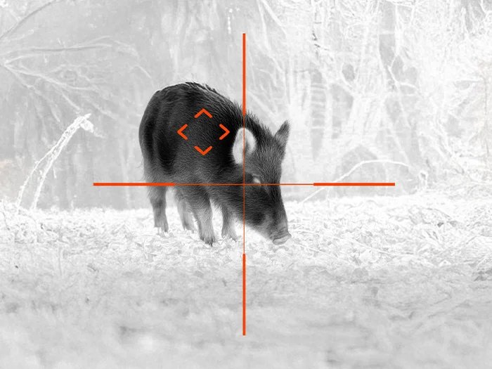 Iron-red thermal view of a wild hog in a snowy field through an ATN thermal scope