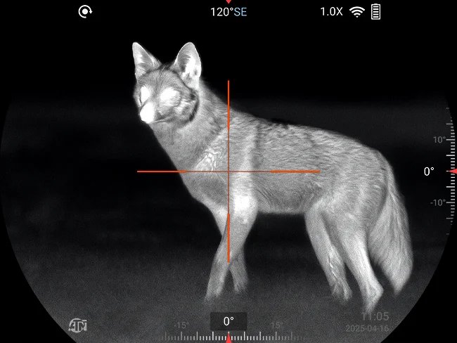 White Hot Thermal Scope: The ATN ThOR 6 Mini 384x288 (2026)