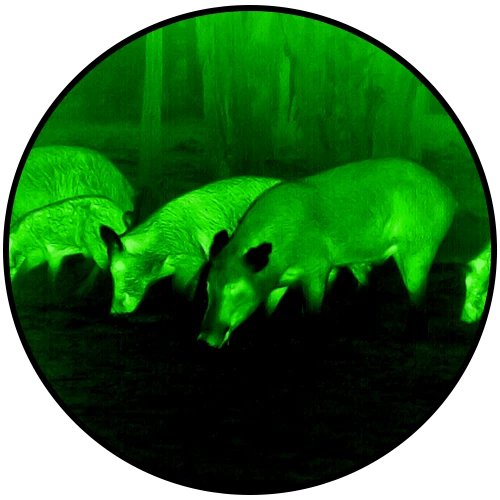 Clip On Thermal Scope Reviews: A Plain Guide with the ATN TICO 6 640x512 (2026)