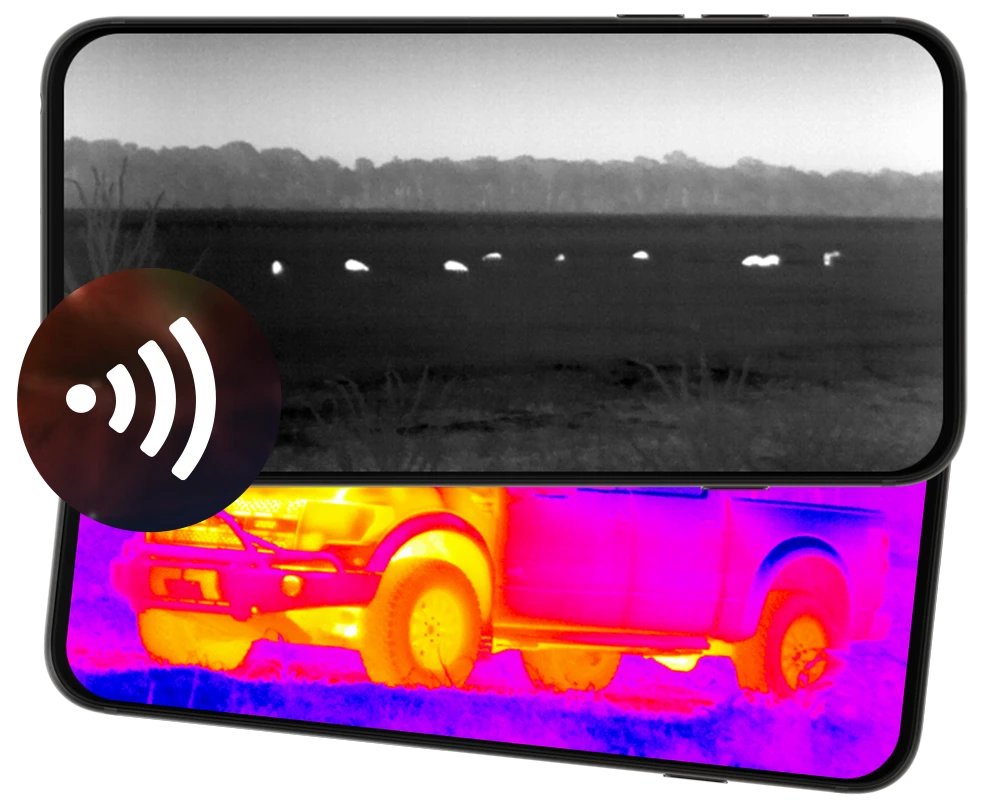 White hot thermal view of game in an open field through an ATN thermal optic