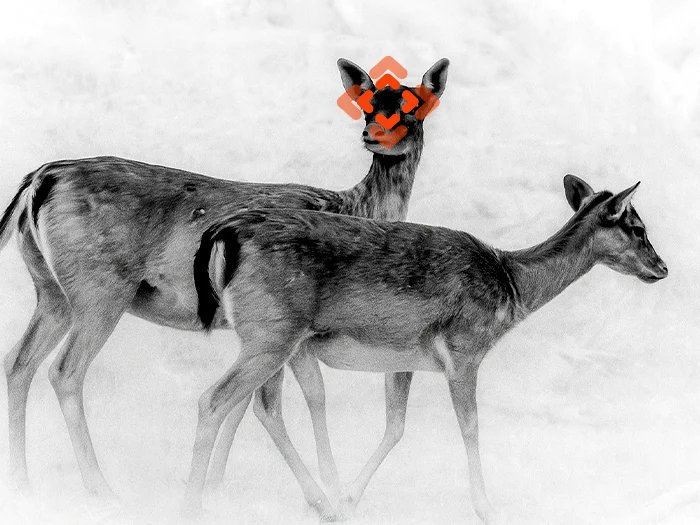 Thermal thermal view of a deer in a snowy field through an ATN thermal scope