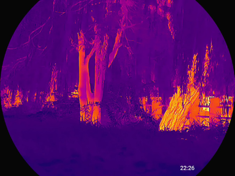Iron-red thermal view of game in the woods through an ATN thermal scope