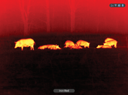 Thermal Night Vision Scope View: The ATN X-Sight 5  (2026)