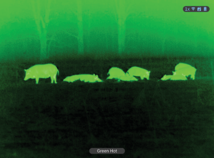 Hybrid Thermal Night Vision Scope: The ATN X-Sight 5  (2026)