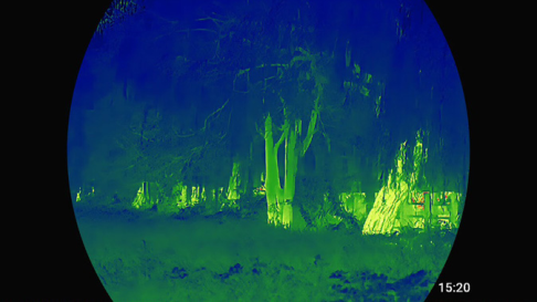 Thermal thermal view of game in the woods through an ATN thermal thermal clip-on