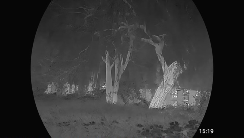 White hot thermal view of game in the woods through an ATN thermal optic